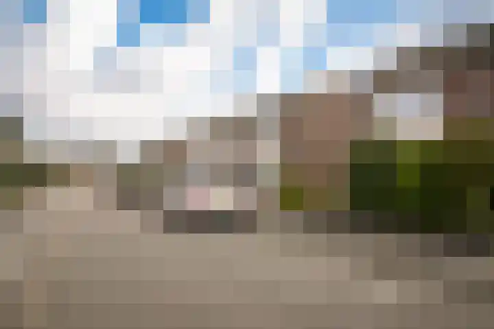 Kerkeland 14 Dreumel thumbnail 30