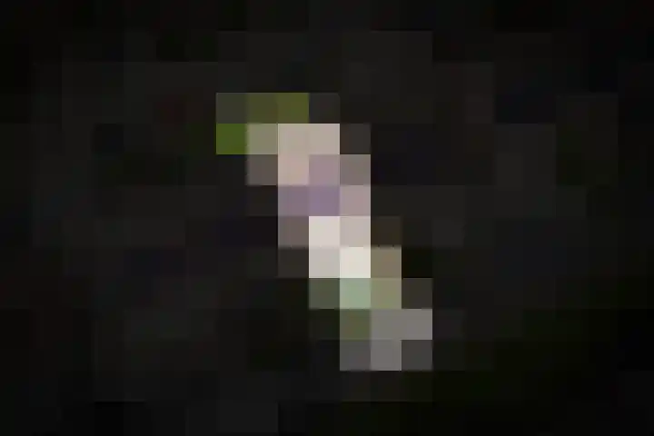 Kerkeland 14 Dreumel thumbnail 33