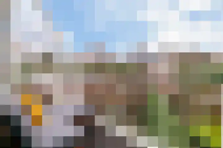 Kerkeland 37 Oosterbeek thumbnail 15
