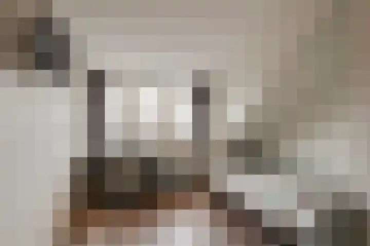 Kerkeland 4 Schoonrewoerd thumbnail 36