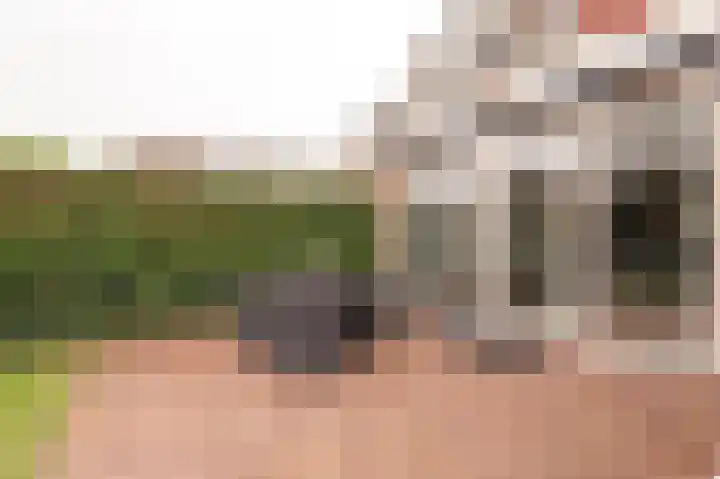 Kerkeland 4 Schoonrewoerd thumbnail 40