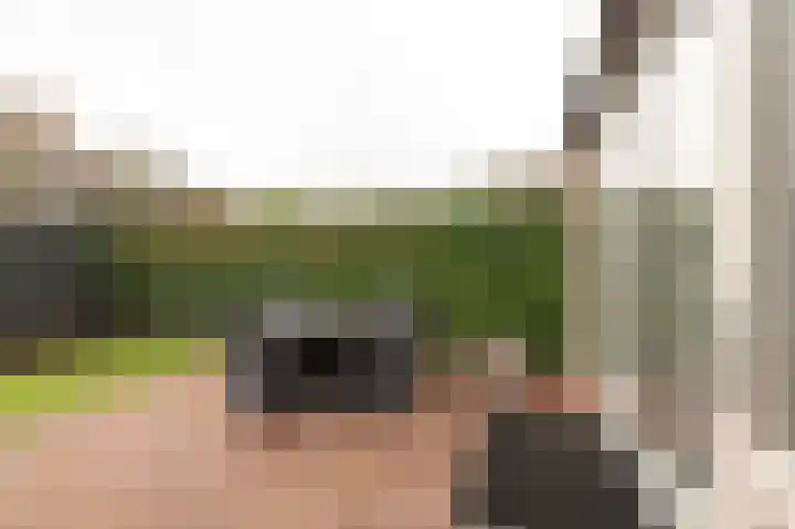 Kerkeland 4 Schoonrewoerd thumbnail 42