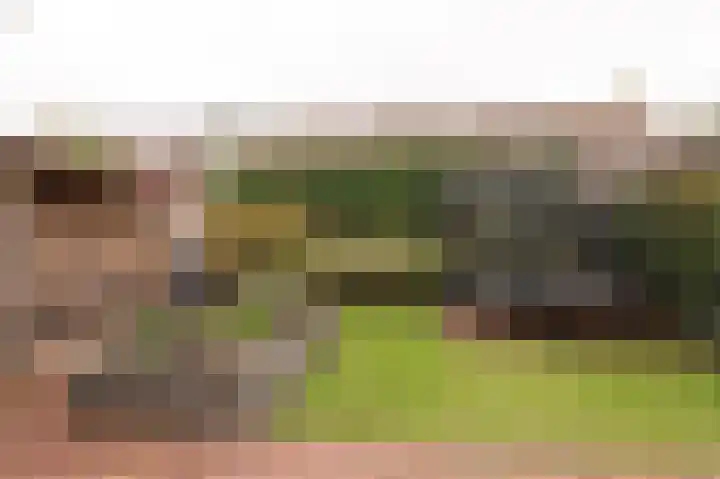 Kerkeland 4 Schoonrewoerd thumbnail 43