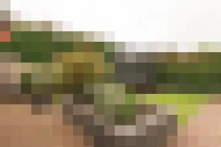 Kerkeland 4 Schoonrewoerd thumbnail 45