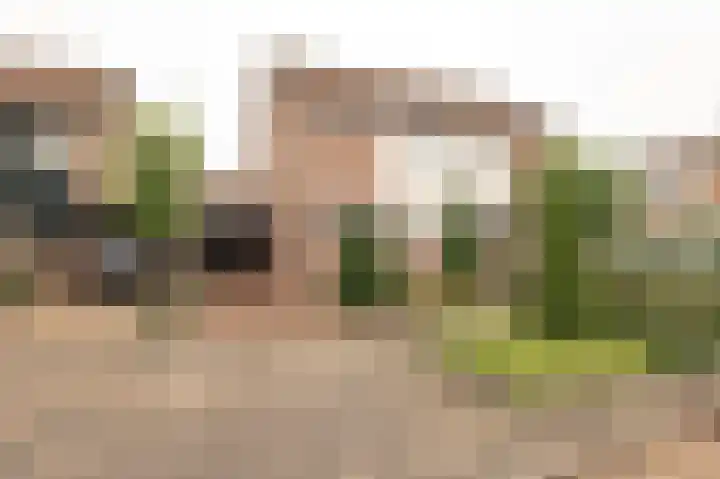 Kerkeland 4 Schoonrewoerd thumbnail 46