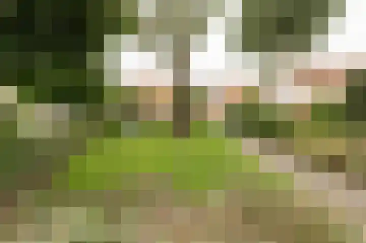 Kerkeland 4 Schoonrewoerd thumbnail 47