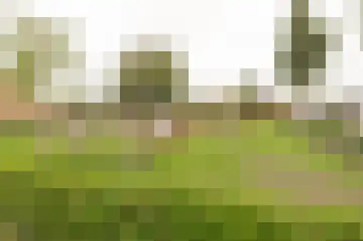 Kerkeland 4 Schoonrewoerd thumbnail 48