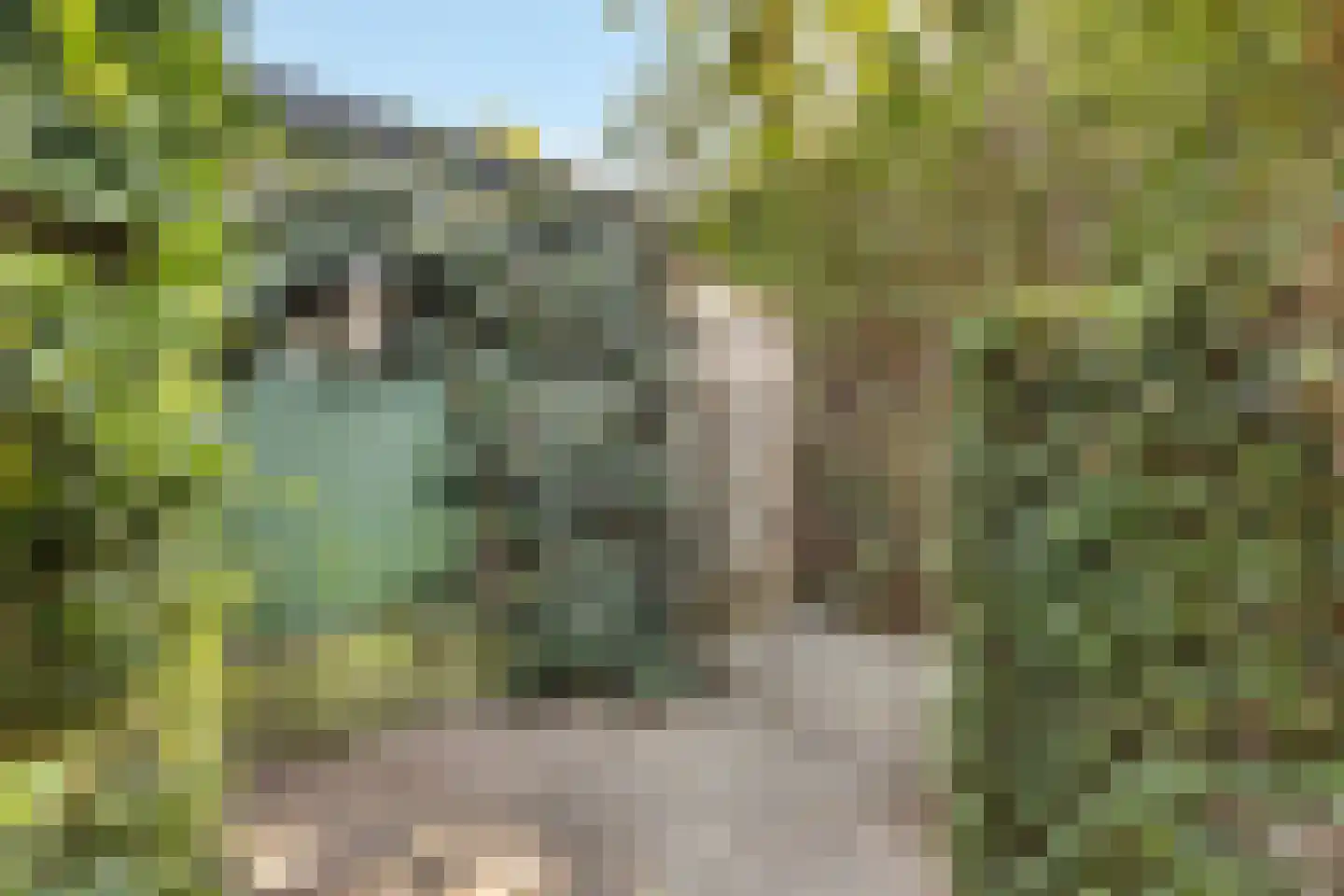 Kerkeland 5 Nijkerk thumbnail 30
