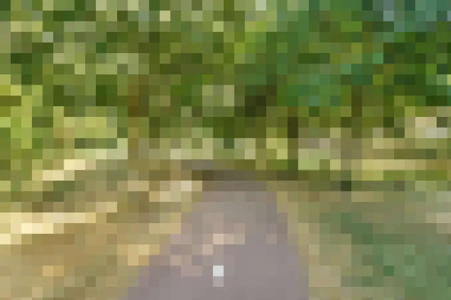 Kerkeland 5 Nijkerk thumbnail 34