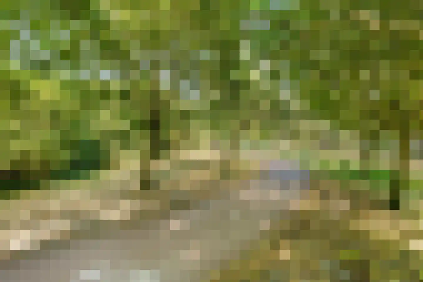 Kerkeland 5 Nijkerk thumbnail 35