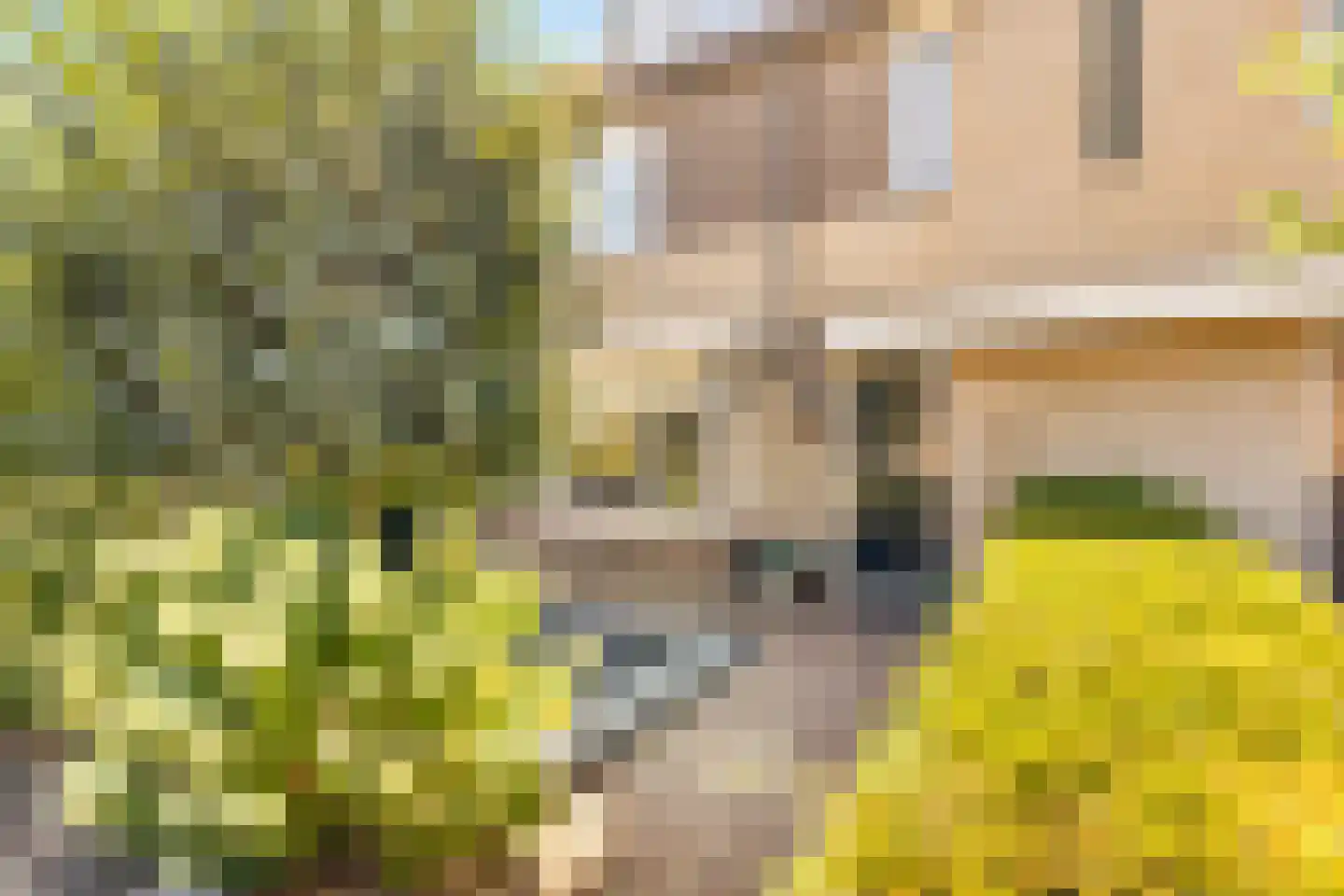 Kerkeland 5 Nijkerk thumbnail 6