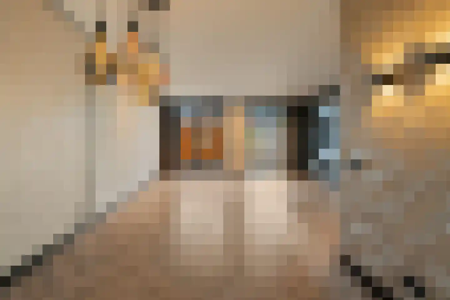 Kerkeland 5 Noordwijk thumbnail 10