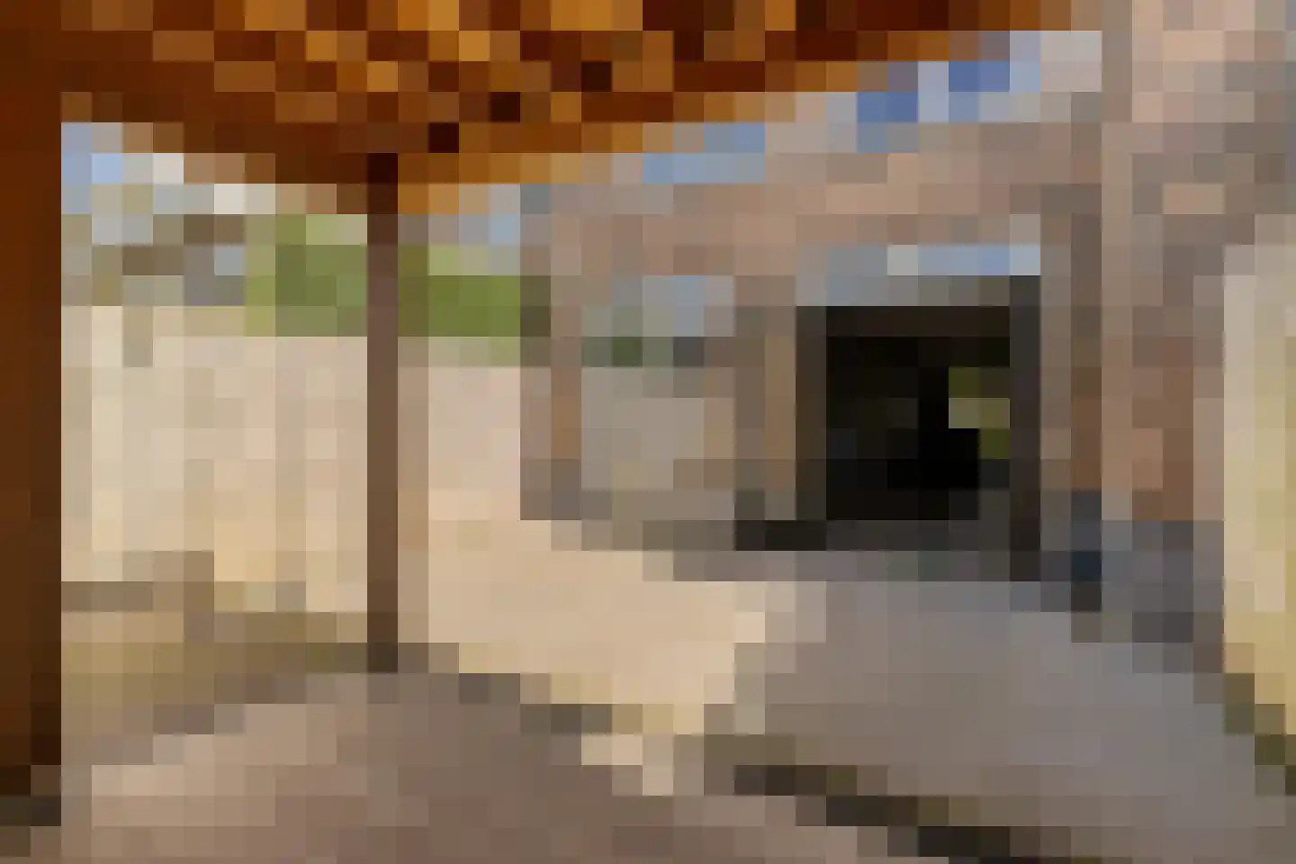 Kerkeland 5 Noordwijk thumbnail 10