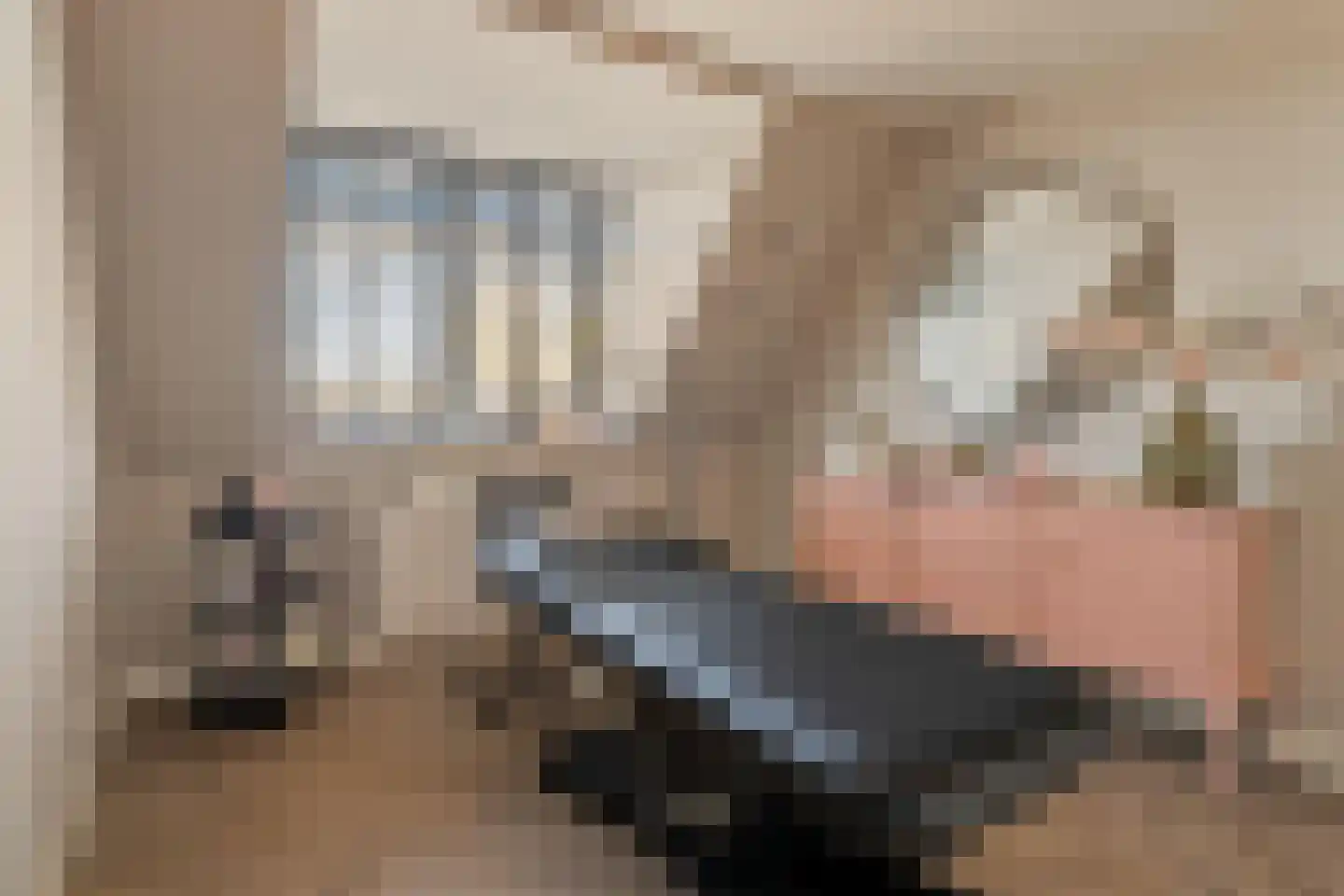 Kerkeland 5 Noordwijk thumbnail 23