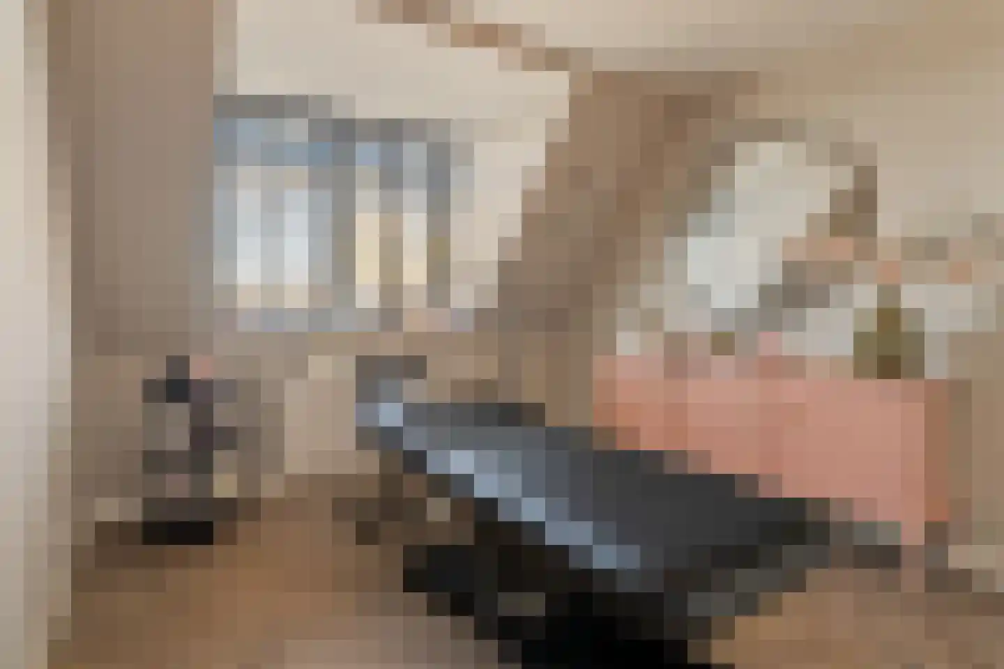 Kerkeland 5 Noordwijk thumbnail 29