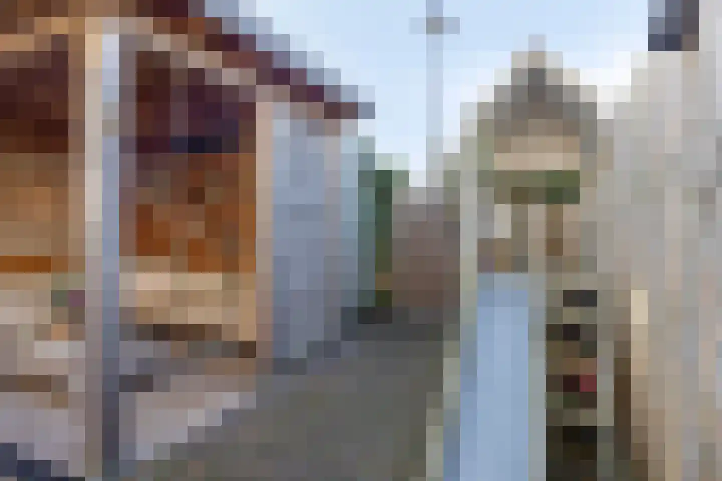 Kerkeland 5 Noordwijk thumbnail 38