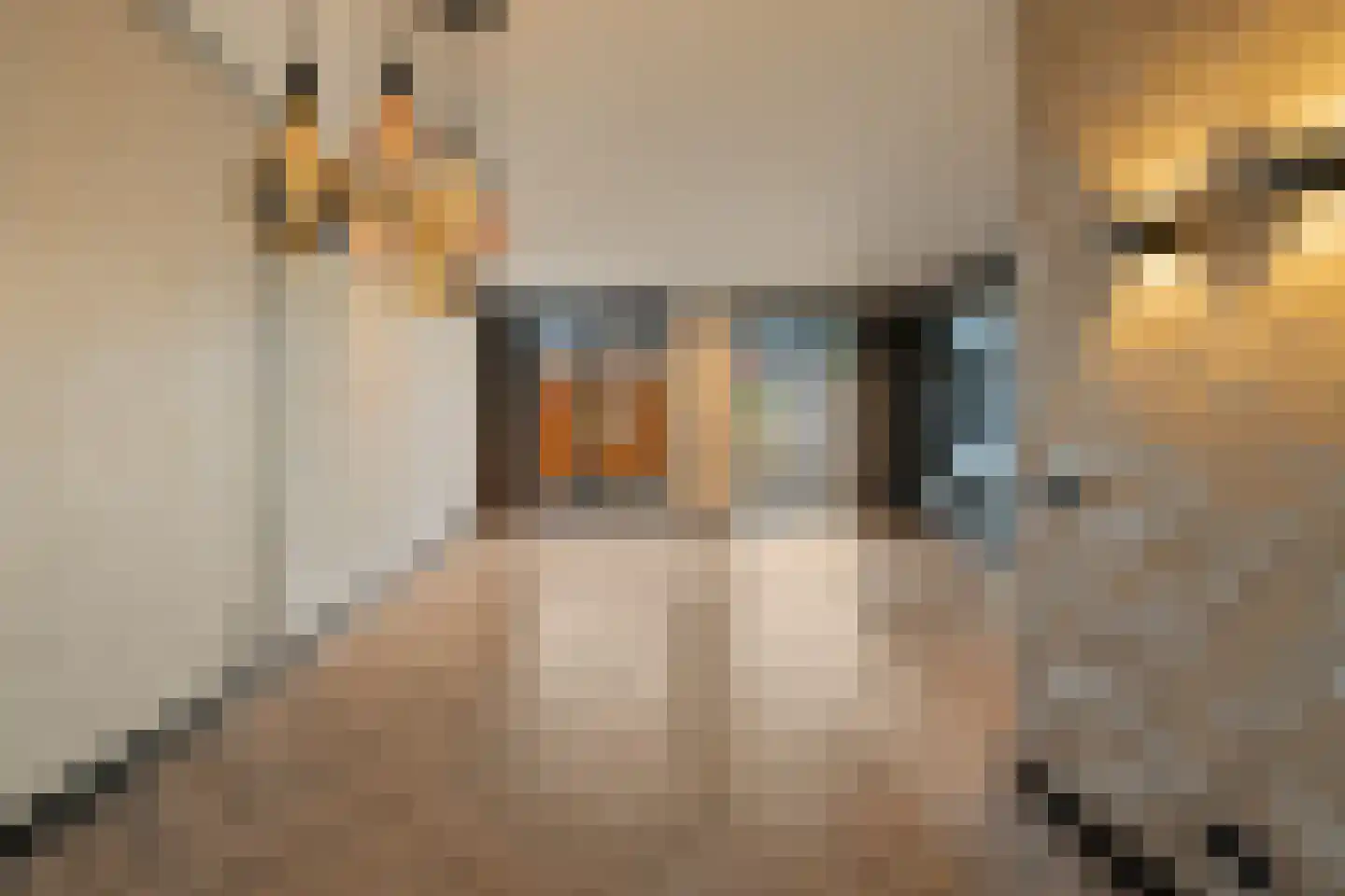 Kerkeland 5 Noordwijk thumbnail 5