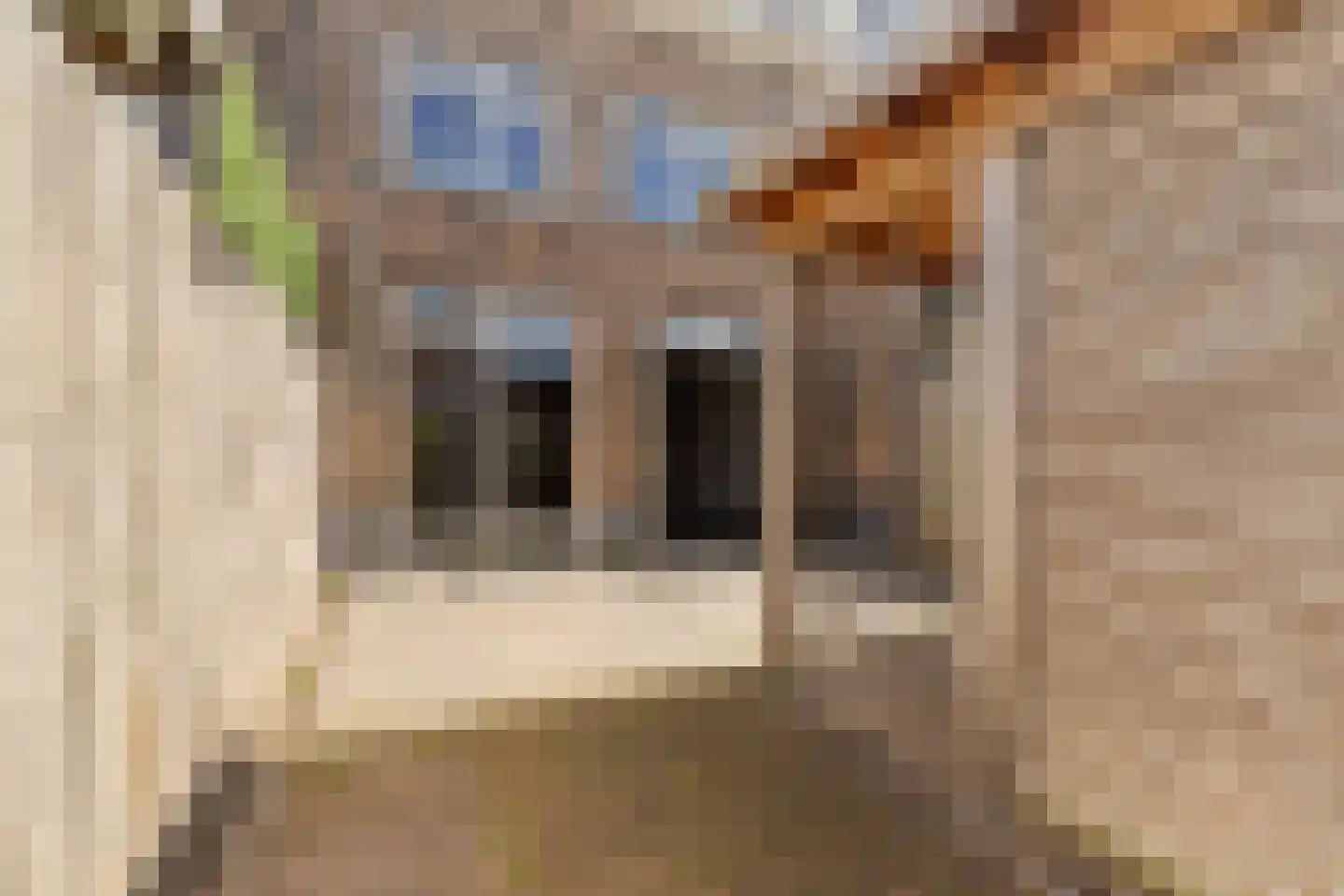 Kerkeland 5 Noordwijk thumbnail 8
