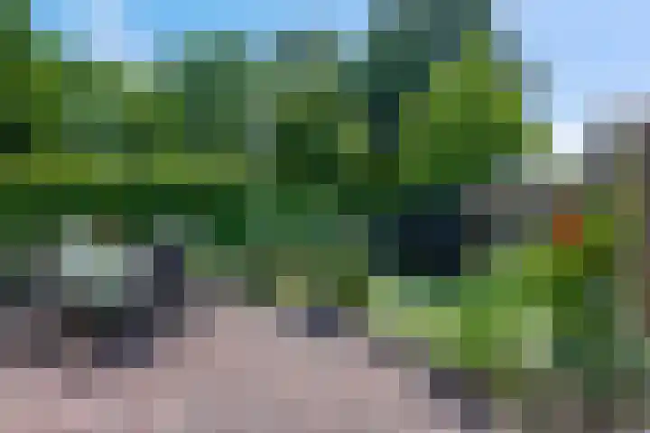 Kerkeland 7 Amerongen thumbnail 23