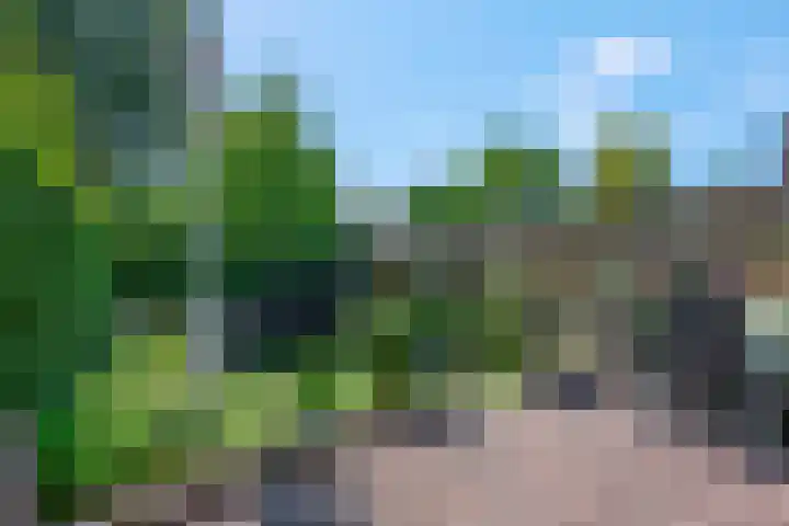 Kerkeland 7 Amerongen thumbnail 25