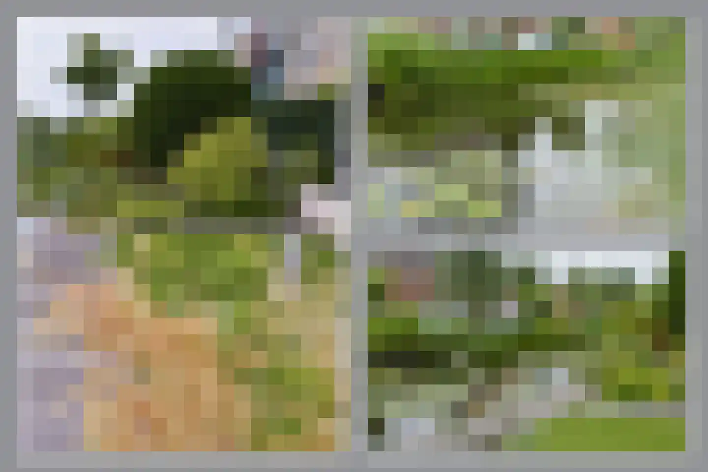 Kerkelanden 1 Vinkeveen thumbnail 25