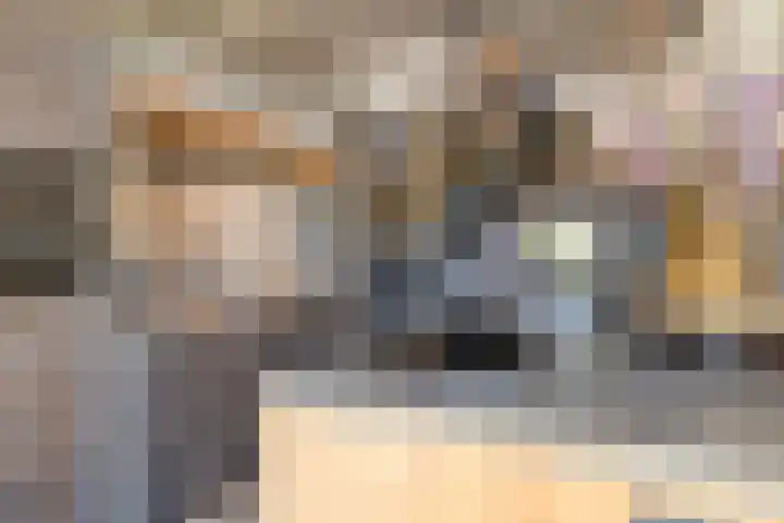 Kerkelandshoek 17 Abbekerk thumbnail 8