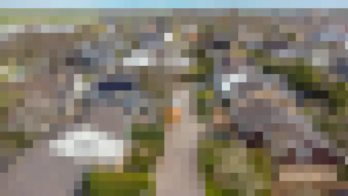 Kerkemeer 36 Akersloot thumbnail 55