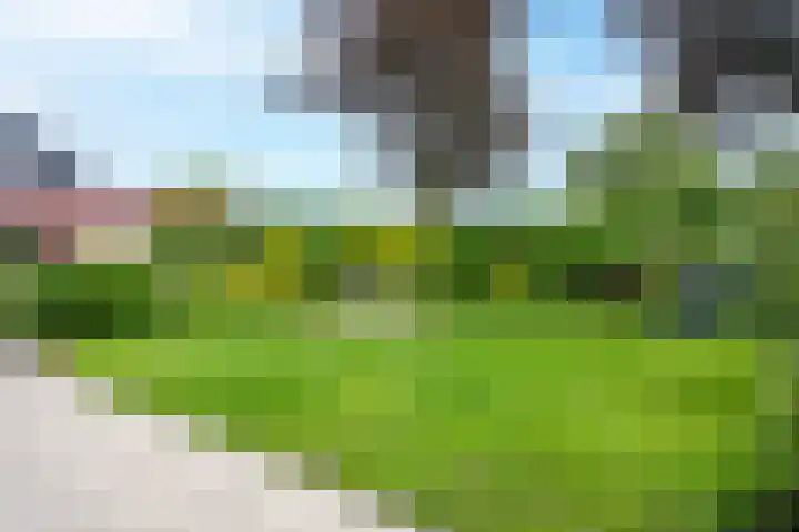 Kerkemeer 40 Akersloot thumbnail 16