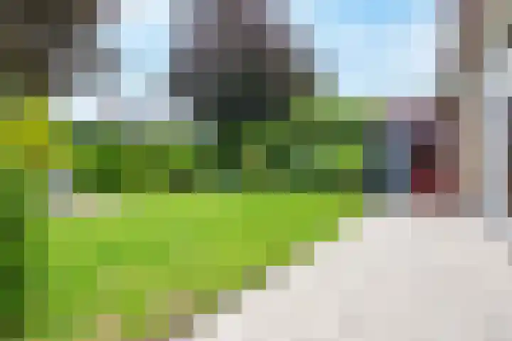 Kerkemeer 40 Akersloot thumbnail 17