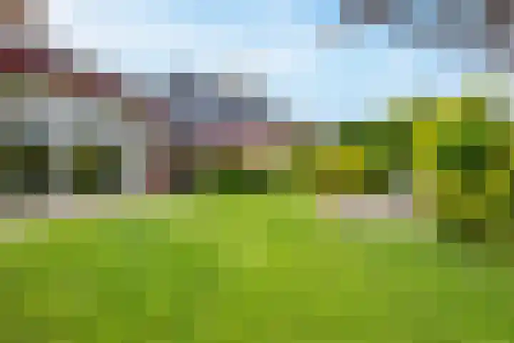 Kerkemeer 40 Akersloot thumbnail 18