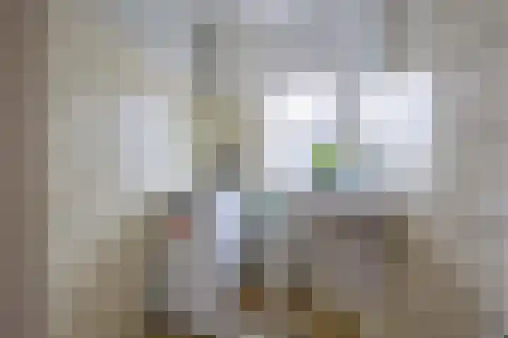 Kerkemeer 40 Akersloot thumbnail 33