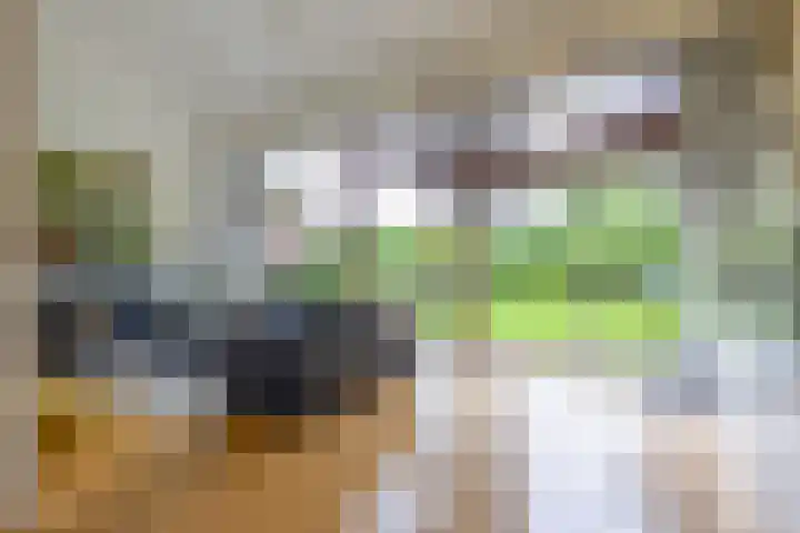 Kerkemeer 40 Akersloot thumbnail 4