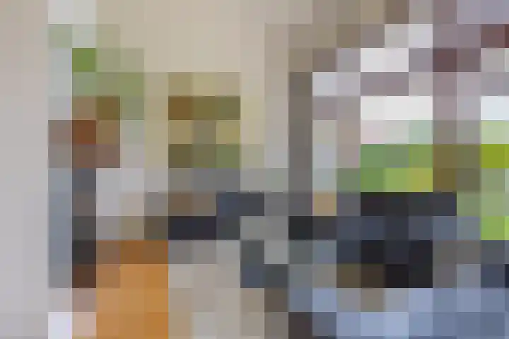 Kerkemeer 40 Akersloot thumbnail 5