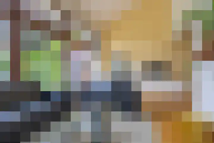 Kerkemeer 40 Akersloot thumbnail 6