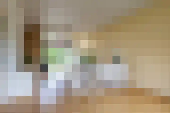 Kerkemeer 40 Akersloot thumbnail 9