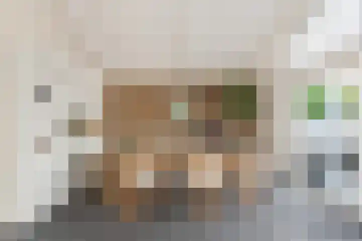 Kerkemeer 49 Akersloot thumbnail 18