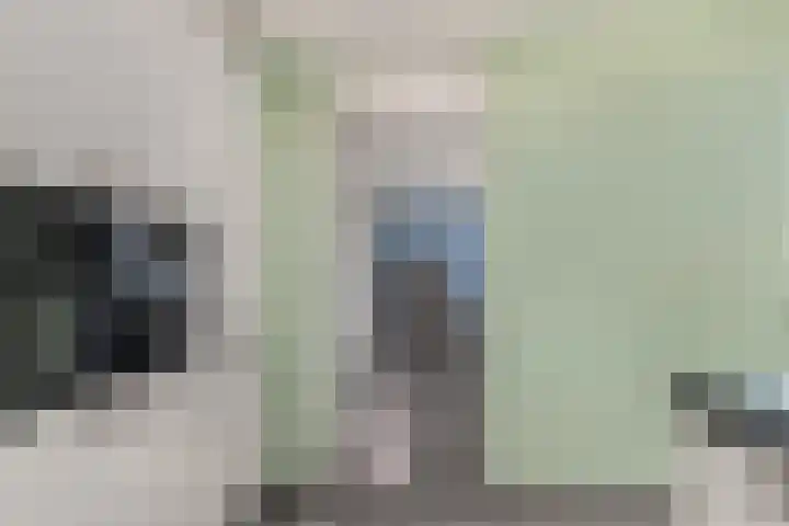 Kerkemeer 49 Akersloot thumbnail 32