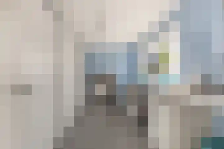 Kerkemeer 49 Akersloot thumbnail 33