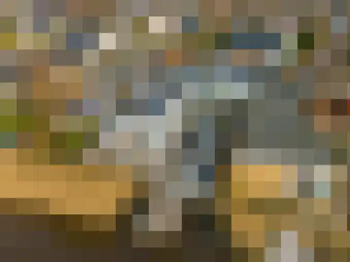 Kerkemeer 49 Akersloot thumbnail 71
