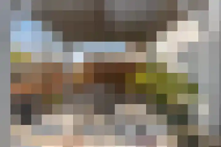 Kerkemeer 49 Akersloot thumbnail 9