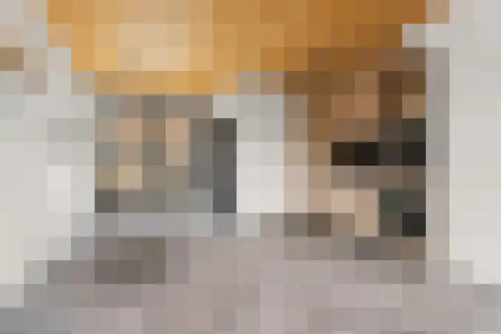 Kerkemorgen 15 Herwen thumbnail 11