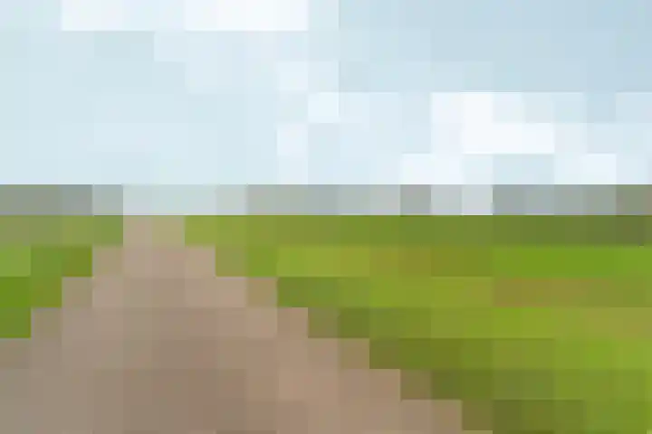 Kerkemorgen 15 Herwen thumbnail 34