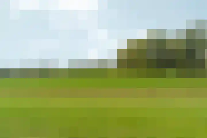 Kerkemorgen 15 Herwen thumbnail 35
