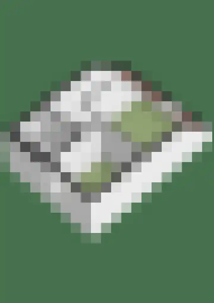 Kerkemorgen 15 Herwen thumbnail 39