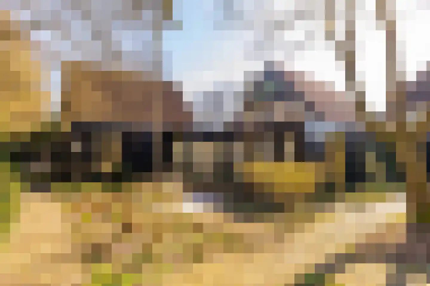 Kerkenbosweg 1 Zuidwolde