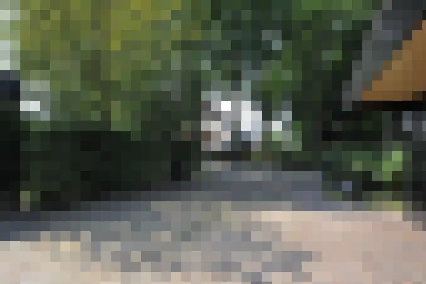 Kerkenbosweg 1 Zuidwolde thumbnail 10