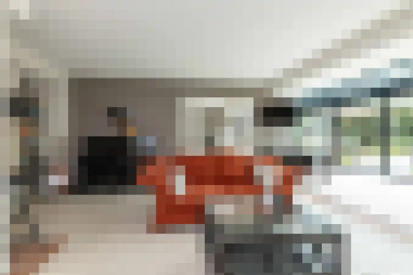 Kerkenbosweg 1 Zuidwolde thumbnail 17