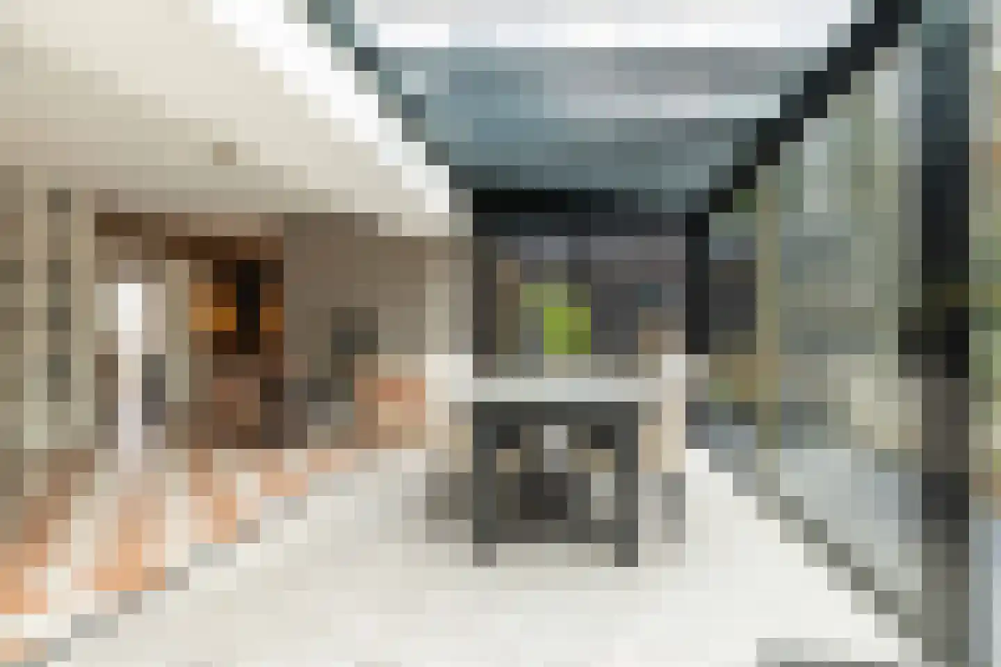 Kerkenbosweg 1 Zuidwolde thumbnail 19