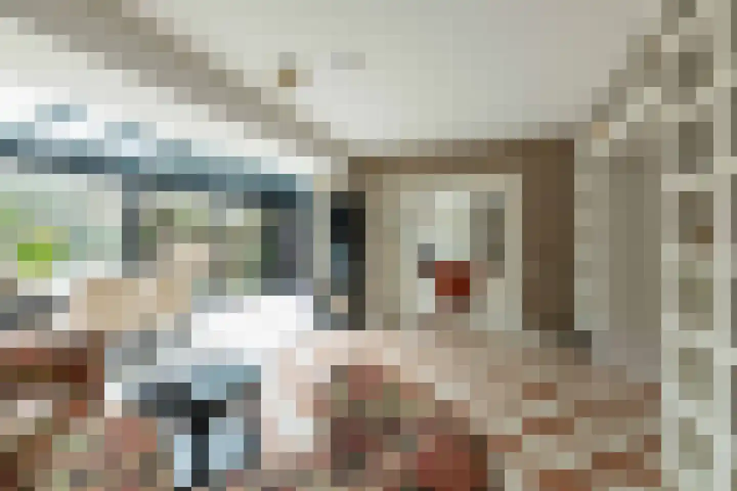 Kerkenbosweg 1 Zuidwolde thumbnail 23