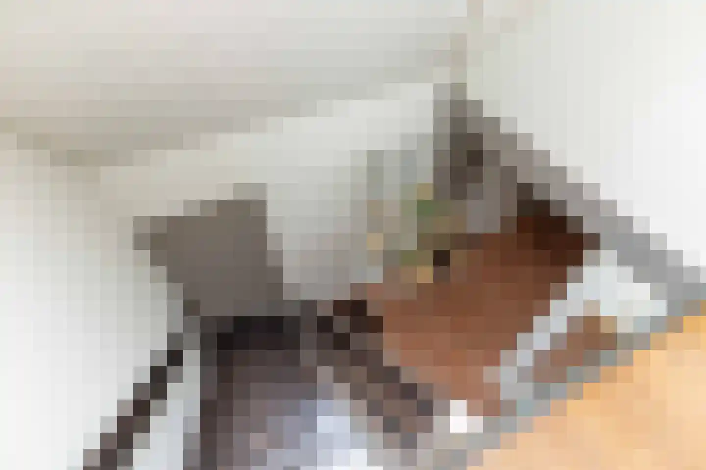 Kerkenbosweg 1 Zuidwolde thumbnail 35